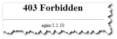 вид ошибки 403 для сервера Nginx